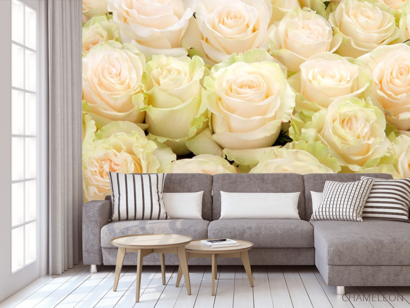 Фотообои нежные розы - 3