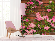 Фотошпалери чайна троянда на цегляній стіні - 4