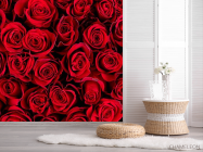 Фотошпалери red roses - 2