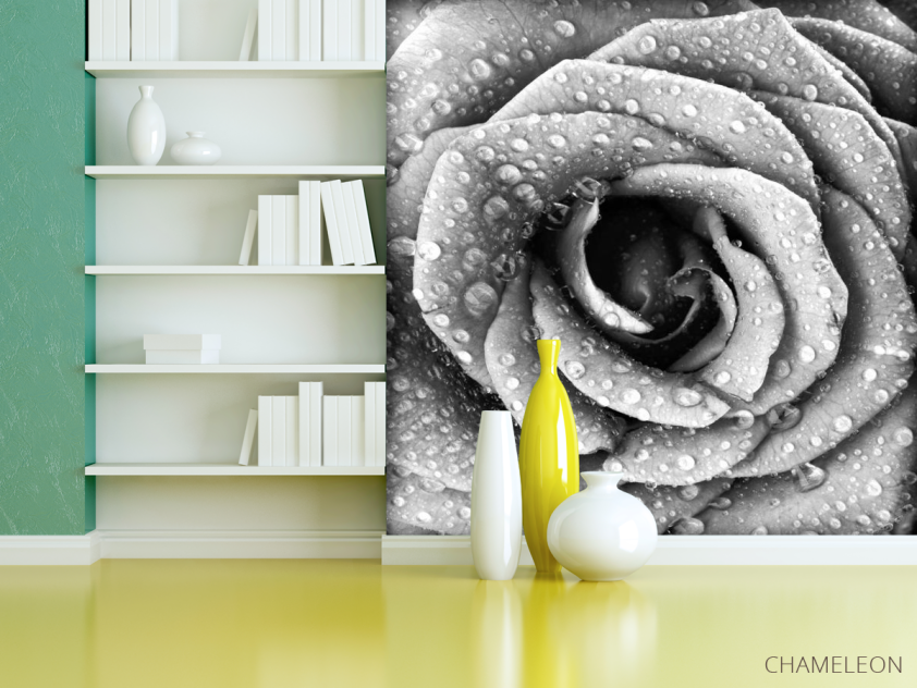 Фотообои Че6рно-белая роза - 3