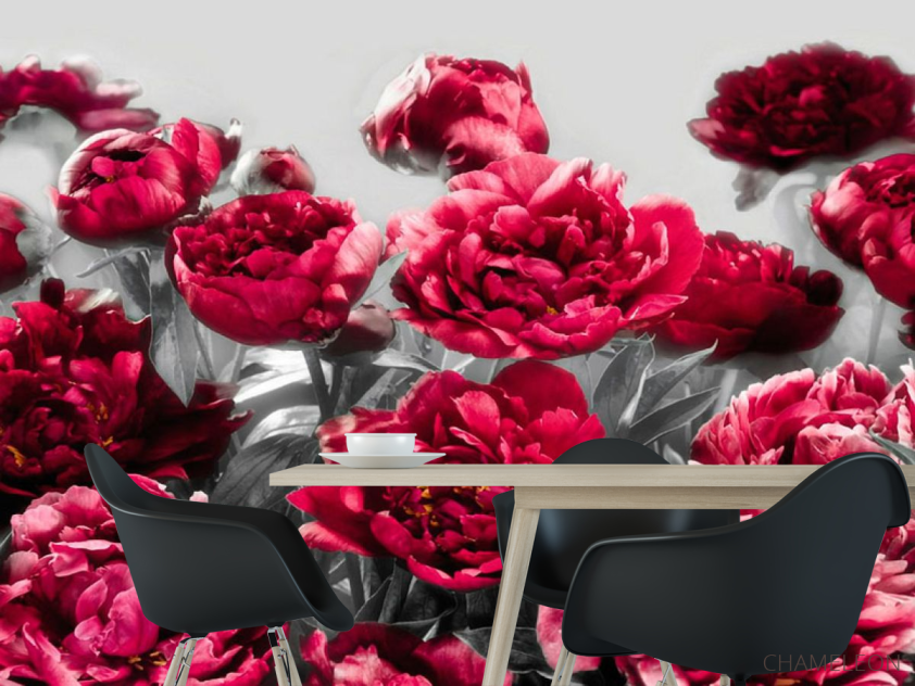 Фотошпалери Бордові півонії - 1