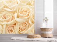 Фотошпалери кремові троянди - 2