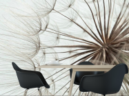 Фотошпалери Кульбаби крупний план - 1