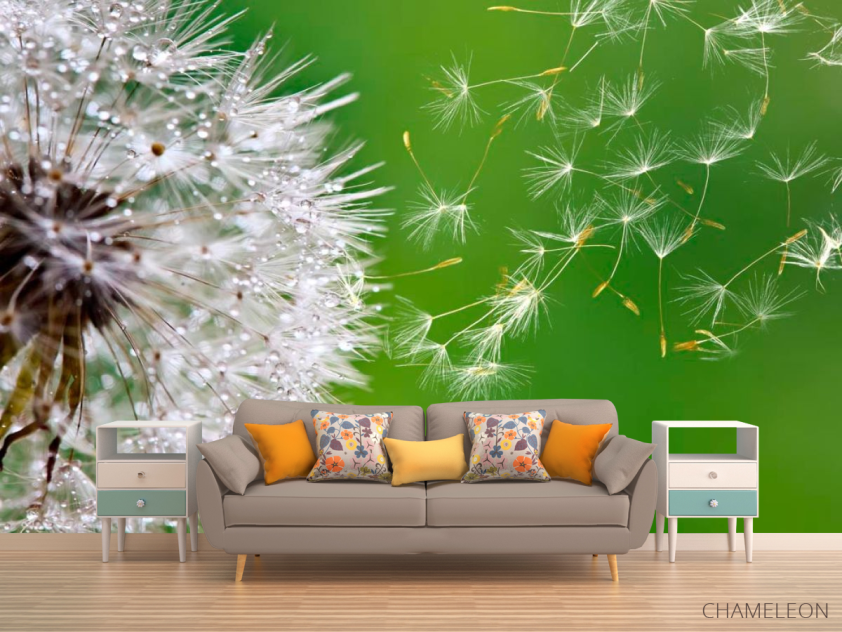 Фотообои Одуванчик летит - 1