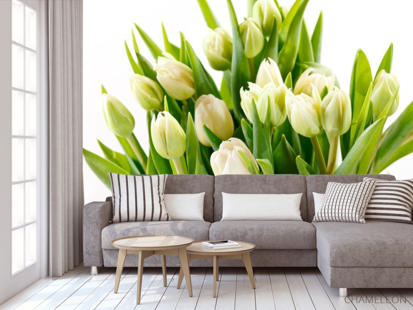 Фотообои Тюльпаны - 3