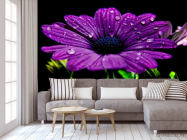 Фотообои Фиолетовый цветок - 3