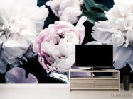 Фотообои Пионы на тёмном - 2