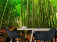 Фотошпалери Бамбук, стежка - 1