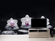 Фотообои белые орхидеи на черном фоне - 2