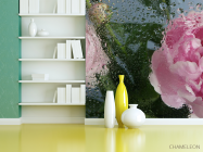 Фотошпалери Рожеві півонії з краплями дощу - 3