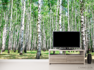 Фотообои Лес, березы - 2