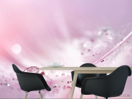 Фотошпалери Перо з росою на рожевому тлі - 1