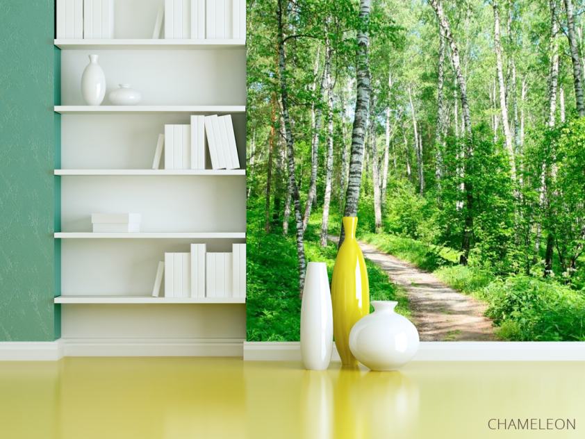 Фотошпалери Ліс, берізки - 3