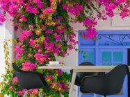 Фотошпалери Квіти на вході в будинок - 1