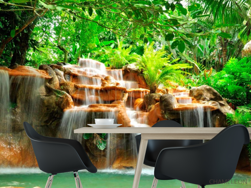 Фотошпалери Джунглі, вода - 1
