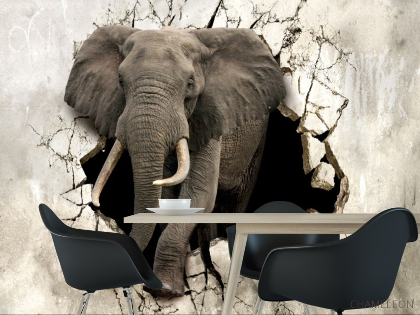 Фотошпалери Слон - 1