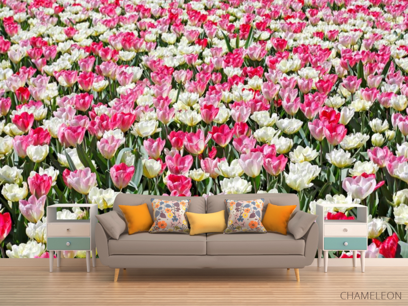 Фотообои Поле разноцветных тюльпанов - 1