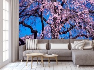 Фотообои Цветущая сакура - 3