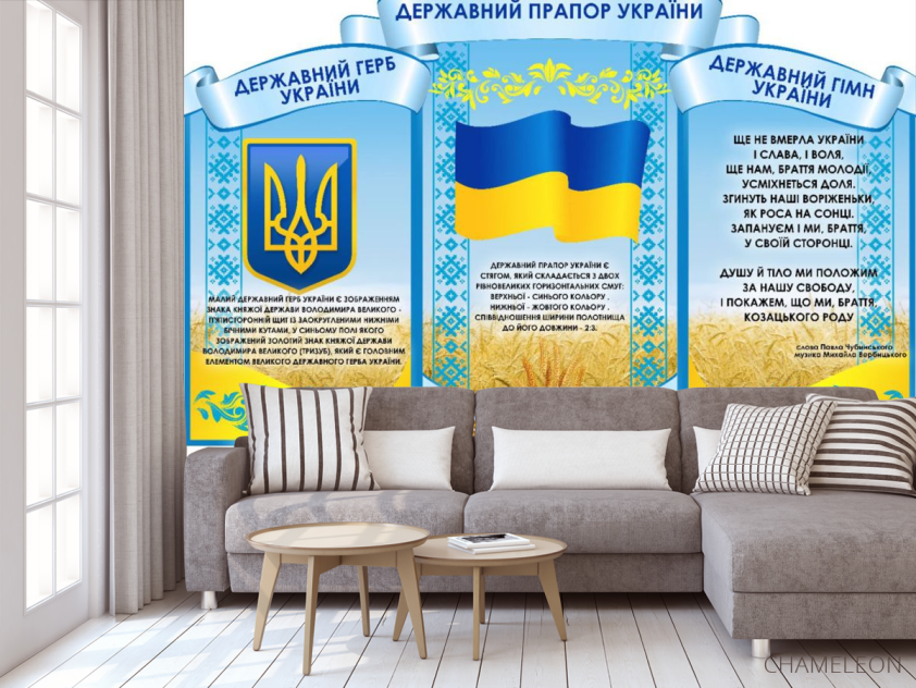 Фотообои патриотические для школы - 3