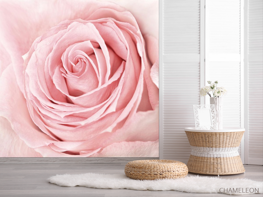Фотообои розовая роза - 2