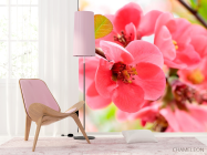 Фотошпалери Квітка яблуні - 4