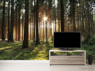 Фотообои солнце пробивается в лесу - 2