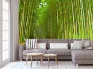 Фотообои Много бамбука - 3