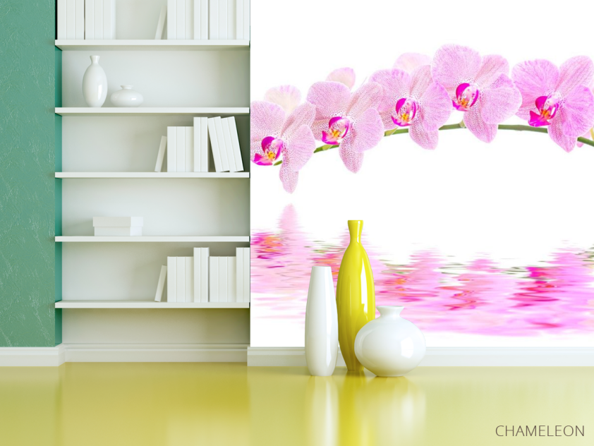 Фотошпалери Відображення орхідей - 3