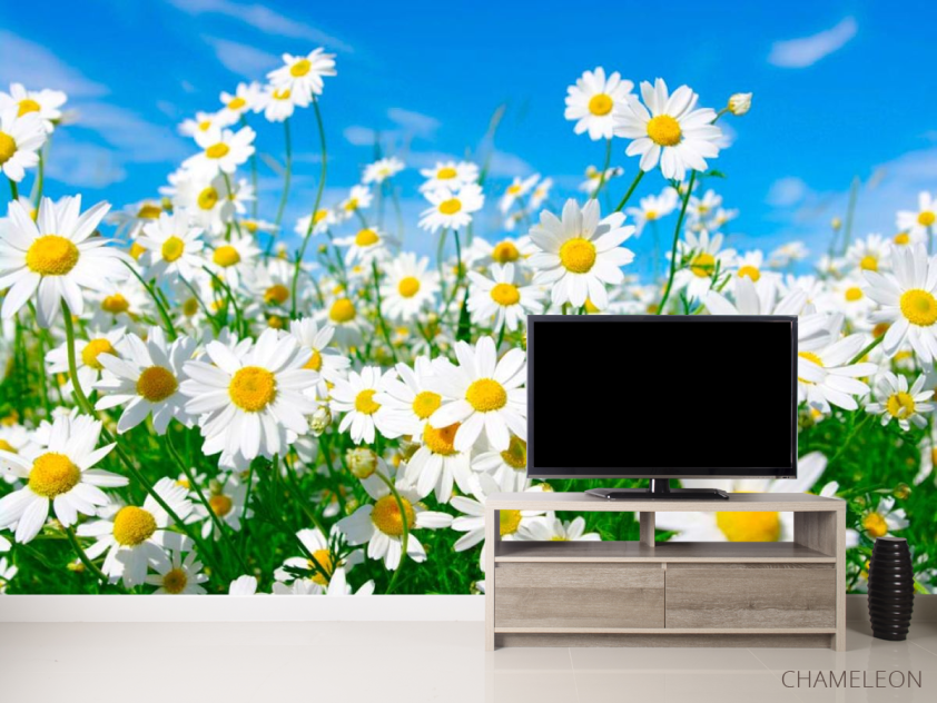 Фотообои Ромашки в степи - 2