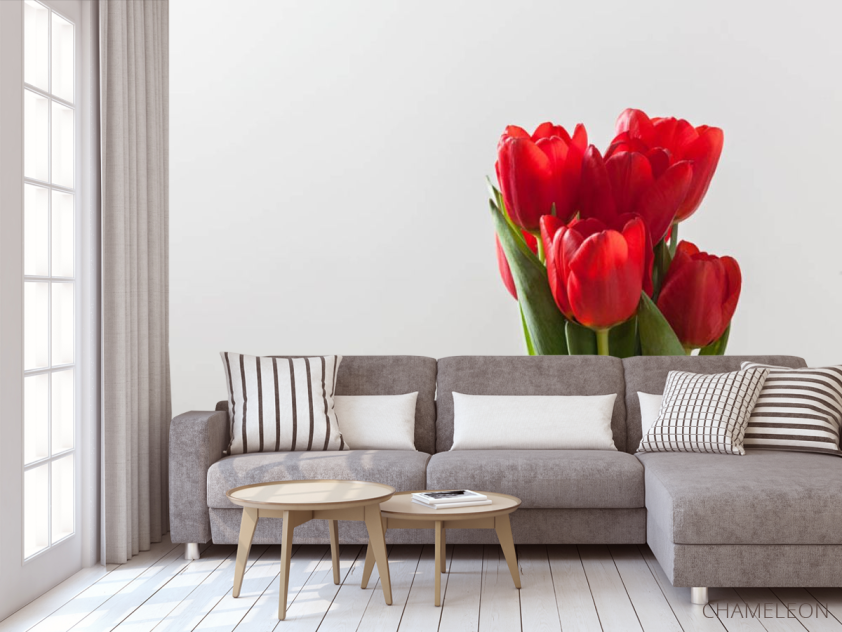 Фотообои красные тюлипаны - 3