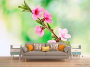 Фотообои Распустившиеся цветы весной - 1