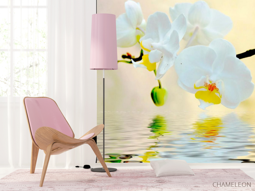 Фотошпалери Білосніжні орхідеї у воді - 4
