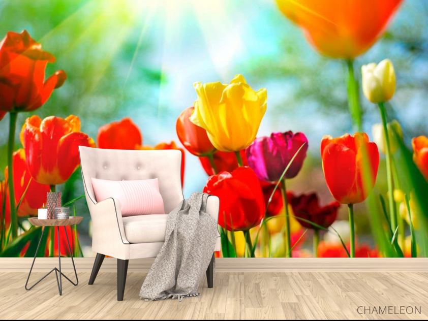 Фотообои Тюльпаны разноцветные - 4