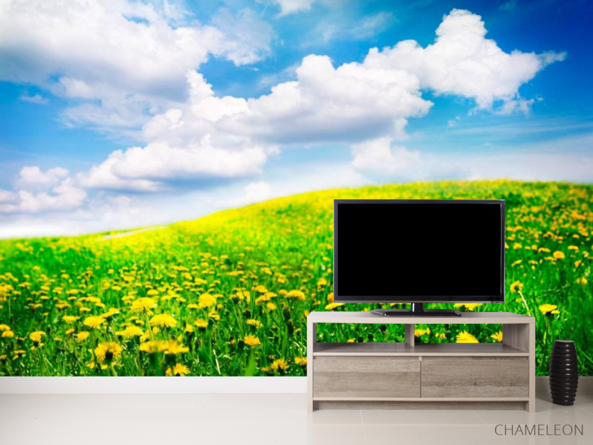 Фотообои Тучи, небо, луг - 2