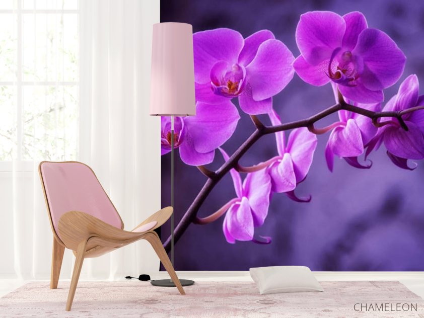 Фотошпалери орхідея - 4