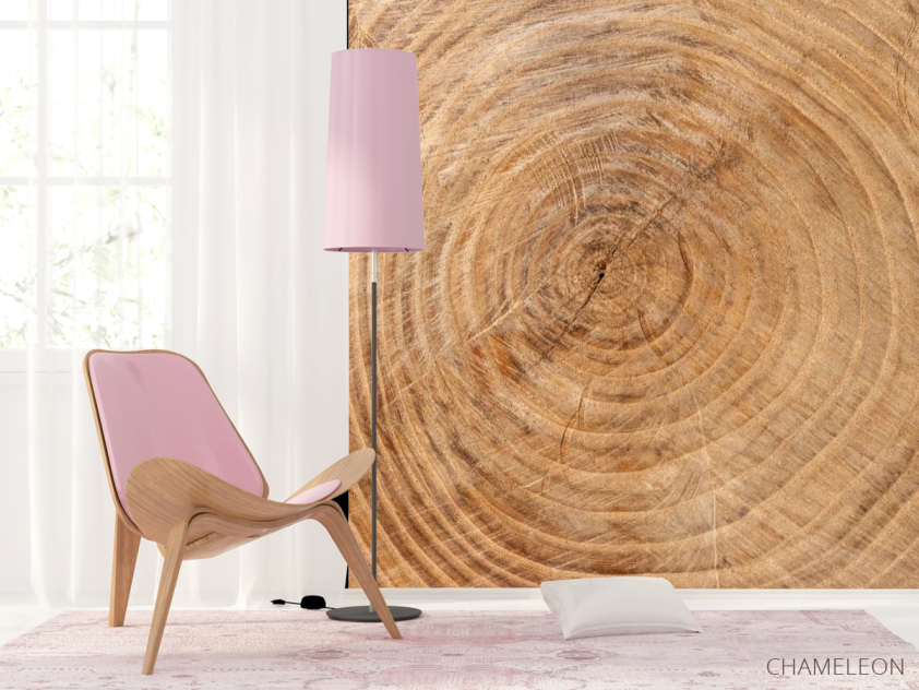 Фотошпалери Дерево в розрізі - 4