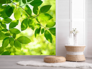 Фотошпалери зелене листя на дереві - 2