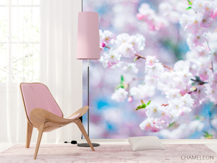 Фотошпалери Білі пушинки кольорів - 4