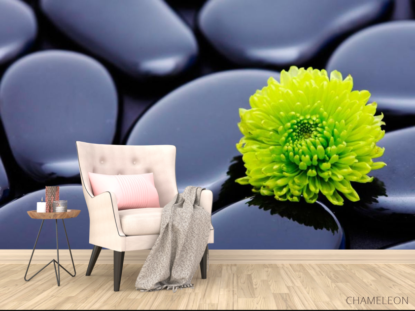 Фотообои Цветок и камни - 4