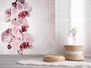Фотошпалери Сіренькі орхідеї - 2