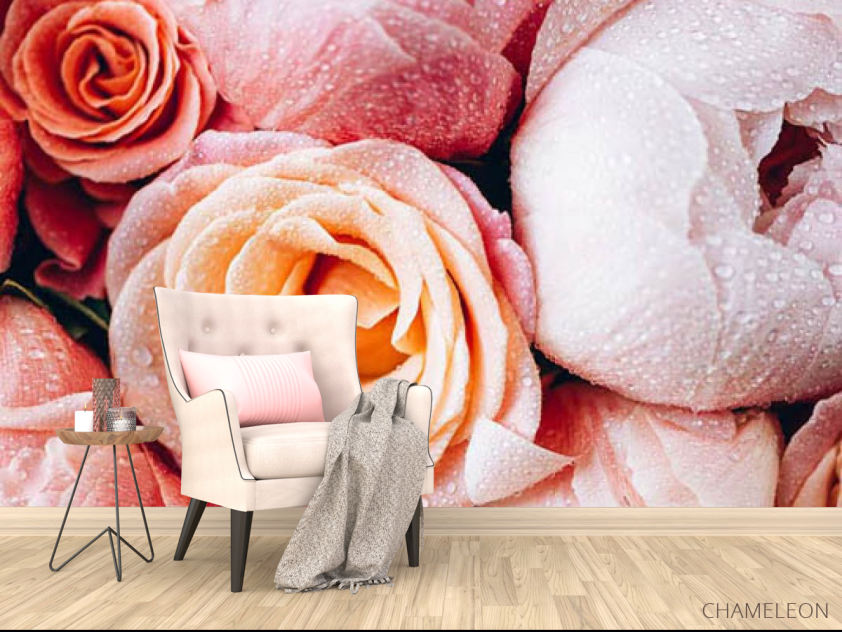 Фотообои Цветы и роса - 4