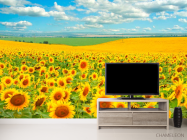 Фотообои Поле, засеянное подсолнухами - 2