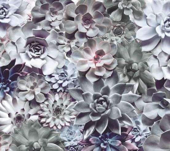 Фотообои 3D цветы Фотообои 3D цветы 17623