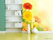 Фотообои Хризантемы разных оттенков - 3