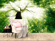 Фотообои Дерево, свет - 4