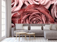 Фотообои Розы винного цвета - 3