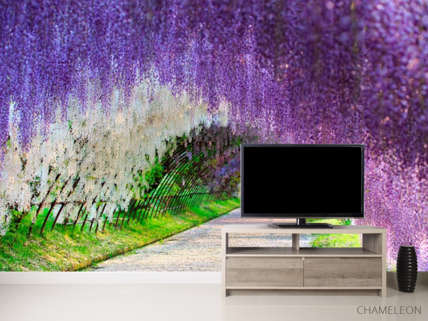 Фотообои Цветы на каркасе - 2