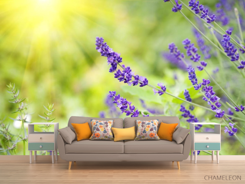 Фотообои синие полевые цветы - 1