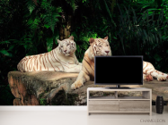 Фотообои Семейство белых тигров - 2