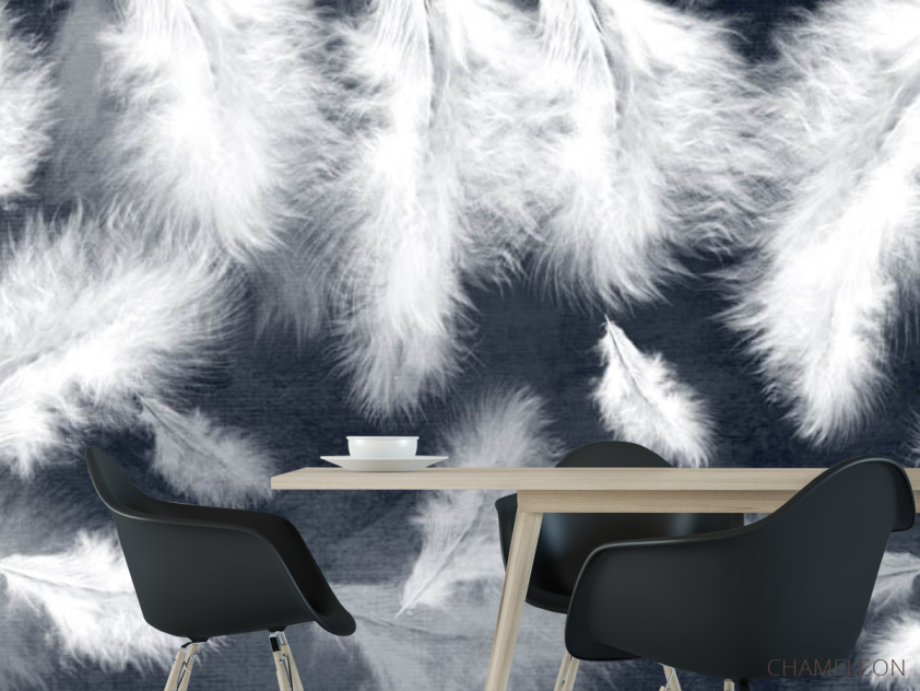 Фотошпалери біле пір'я на синьому тлі - 1